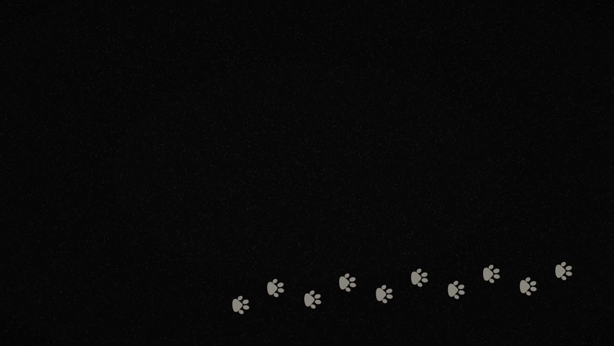 Animated title sequence frame